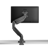PS2S Monitor Arm Single